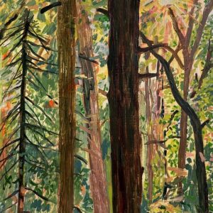 Afternoon Light by Emily Manning-Mingle