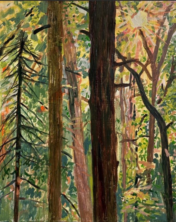 Afternoon Light by Emily Manning-Mingle