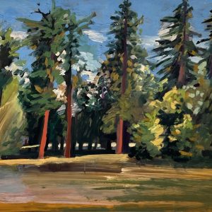 Beyond the Pines by Emily Manning-Mingle