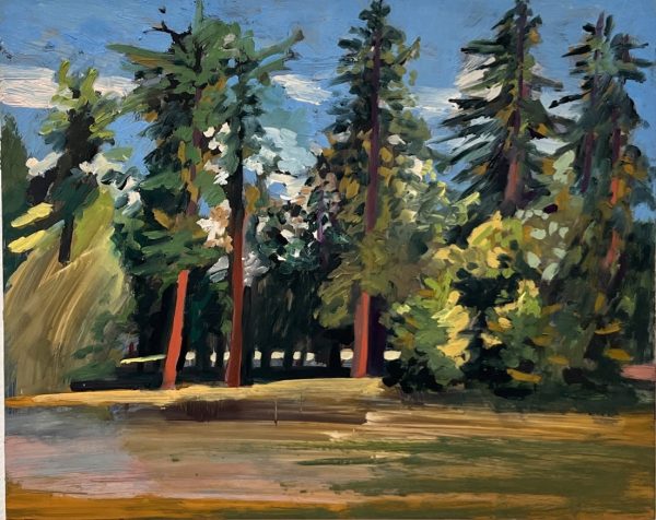Beyond the Pines by Emily Manning-Mingle