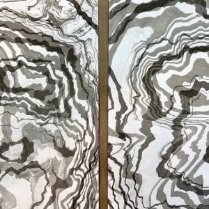 Suminagashi Paper Marbling Workshop - with Leslie Giuliani (Saturday, August 9th, 10am to 3pm)