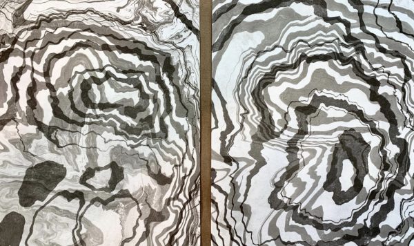 Suminagashi Paper Marbling Workshop - with Leslie Giuliani (Saturday, August 9th, 10am to 3pm)