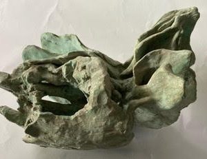 Relic by Eva St. John