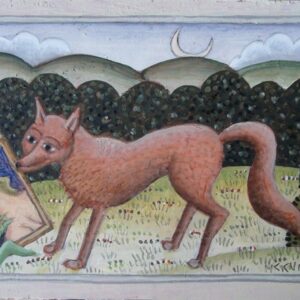 Red Fox by Thomas McKnight