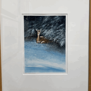 Quiet Night by Wendell Minor