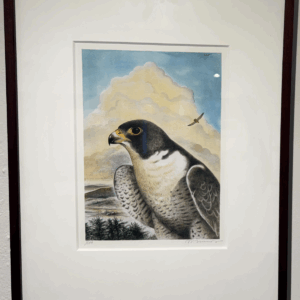 Red Tail by Wendell Minor