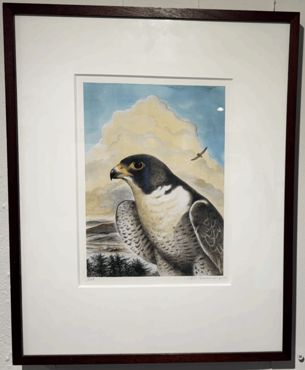 Red Tail by Wendell Minor