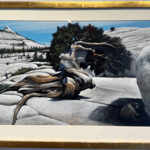 Juniper by Wendell Minor