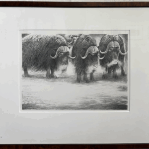 Musk Oxen by Wendell Minor