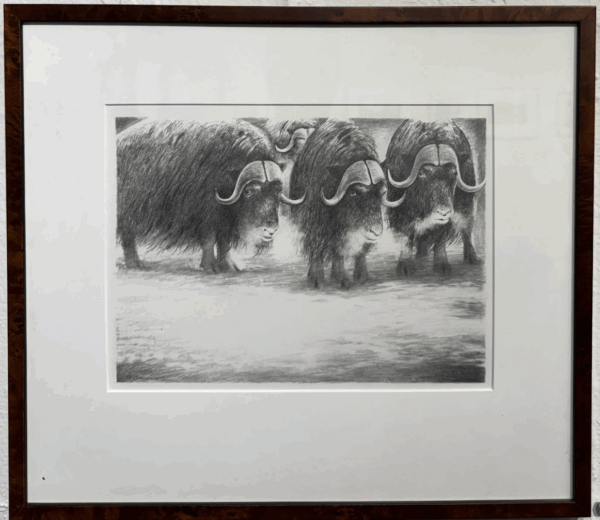 Musk Oxen by Wendell Minor