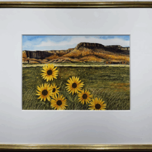 Abiquiu by Wendell Minor
