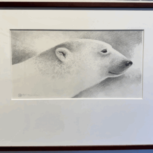 The Polar Bear by Wendell Minor