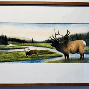 Elk by Wendell Minor