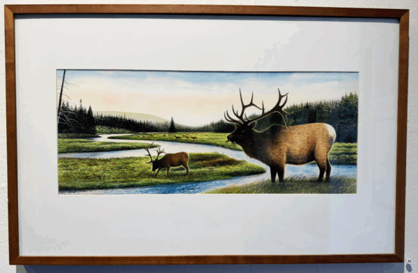 Elk by Wendell Minor