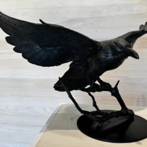 Raven Landing