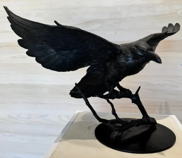 Raven Landing