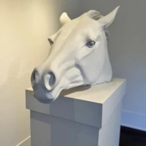 Horse Portrait