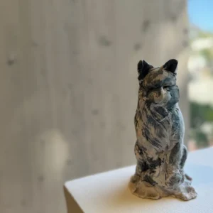 Bobcat Study