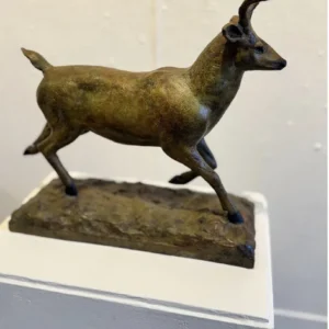 Deer Run