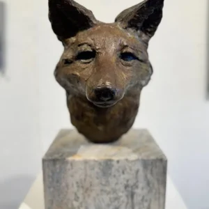Fox Portrait