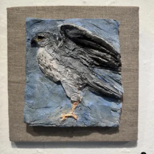 Little Hawk