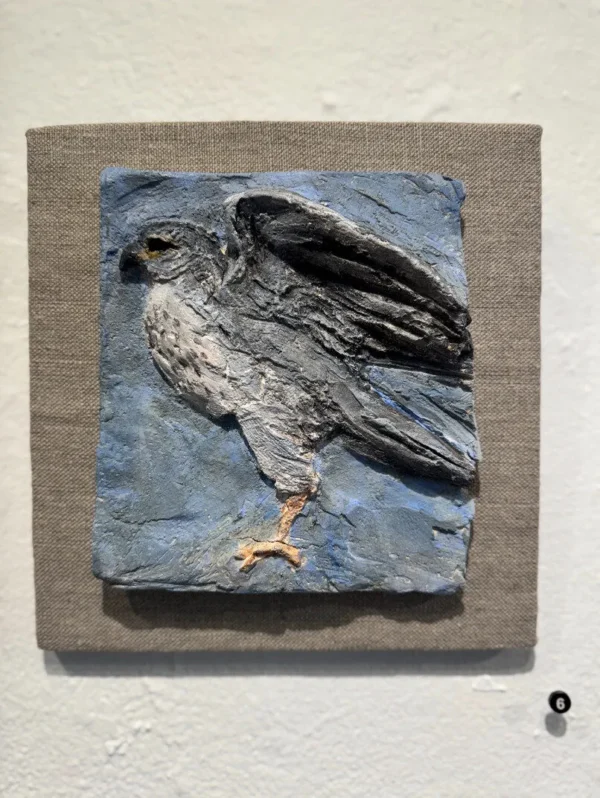Little Hawk