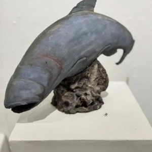 Imaginary Fish