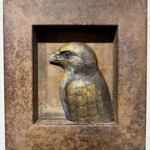 Hawk Portrait