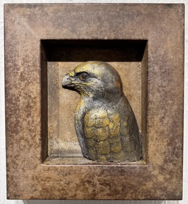 Hawk Portrait