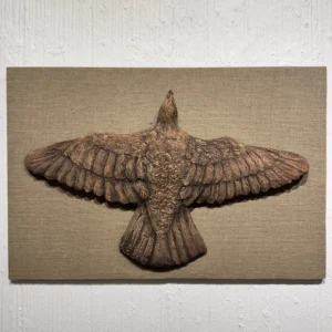 Soaring