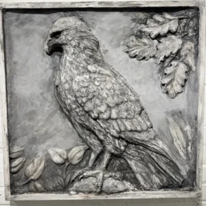 Red Tail Hawk