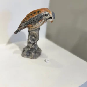 Little Kestrel