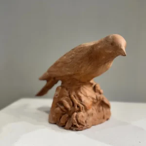 Bea's Bird