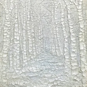 New Dawn In White, Donald Bracken