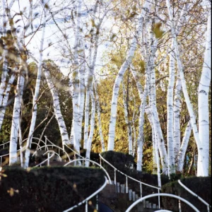 Slow Down, Tune In and See! Two-Day Photography Workshop with Rich Pomerantz – December 2025 Mini