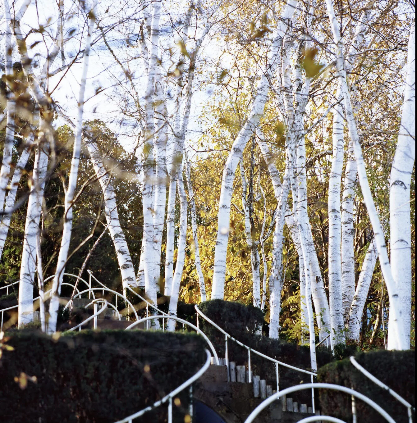 Slow Down, Tune In and See! Two-Day Photography Workshop with Rich Pomerantz – December 2025 Mini