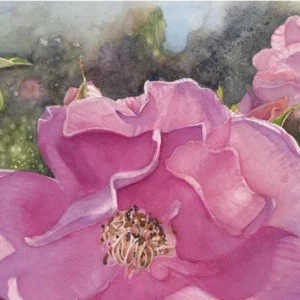 The Watercolor Pages with Grace McEnaney (Sundays, 1:45 PM to 4:15 PM | March 29-May 3, 2026)