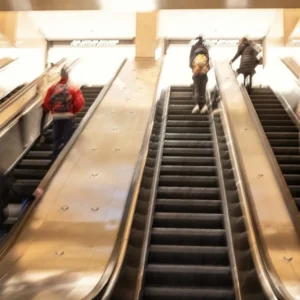 Into the Light, Susan Reinberg