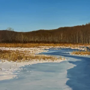 The Lilly Preserve, Tom Yost