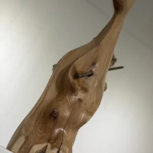 Impasse, Nate Cardonsky