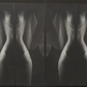 La Femme, Bill Quinnel