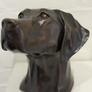 Young Gus, Daniel Murray