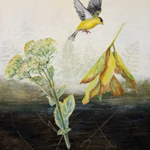 Goldfinch, Joan Anthony