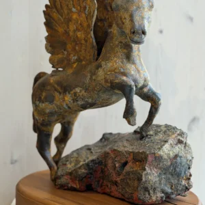 Pegasus, Lisa A. Barker