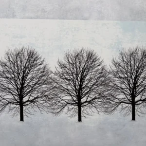 untitled, Nina McKitty