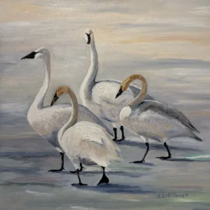 Whistling Swans, Rosemary Erb-Fawcett