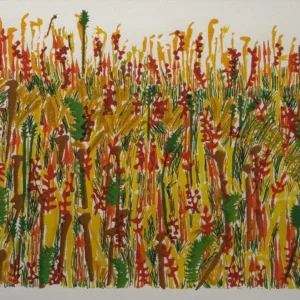 Summerfield, Carol Zamcheck