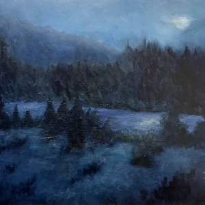 Winter Nocturne, Jamie Fellner