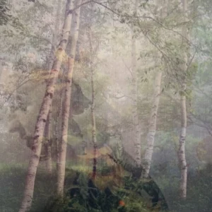 Lady Grove, Lori Barker