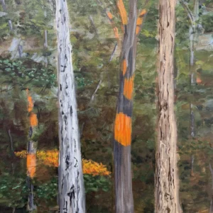 Trees & Light, Lynn Gray